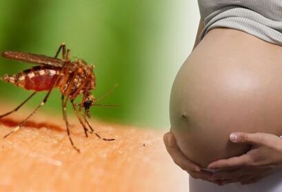 ios-zika