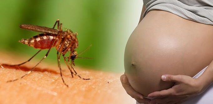 ios-zika