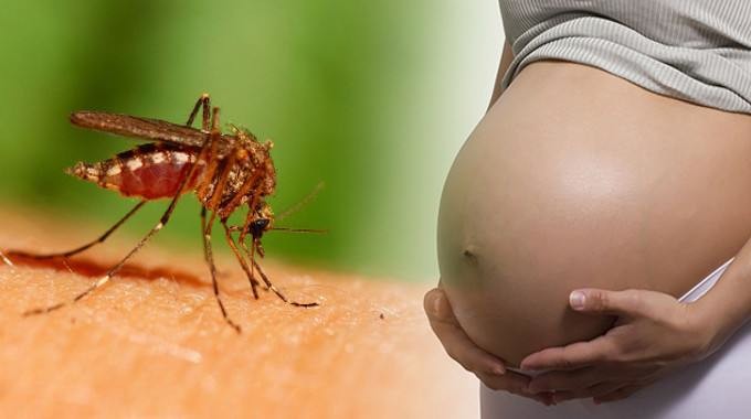 ios-zika